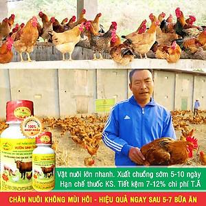 Chế phẩm sinh học VƯỜN SINH THÁI chăn nuôi Vỗ Béo không Mùi Hôi - Vật nuôi chắc thịt lớn nhanh ít bệnh dịch - Thức ăn bổ sung cho lợn gà chó mèo chim