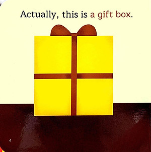 Sách Amazing Transformations