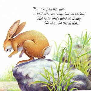 Truyện Ngụ Ngôn Aesop (Bộ Túi 12 Cuốn) - Tái Bản 2020