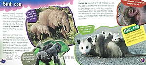 Sách Độc Lạ Phi Thường - Thú Con Bé Bỏng