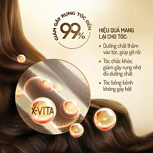 Dầu gội Lashe chai 640g