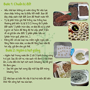 Hạt Giống Mồng Tơi Cao Sản Mồng Tơi Lá To Dễ Trồng,Giàu Dinh Dưỡng - Phú Nông Seeds 15Gr