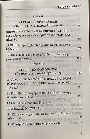 Áp Dụng Pháp Luật Hình Sự Lý Luận Và Thực Tiễn 