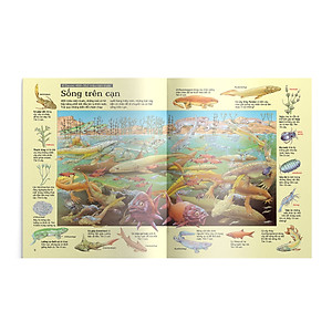 Sách Thử tài tìm kiếm – Khủng long