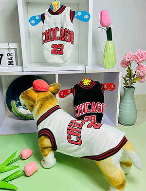ÁO CHICAGO SANG XỊN DÀNH CHO THÚ CƯNG CHÓ MÈO