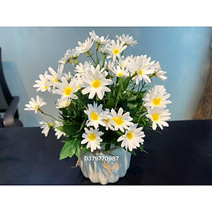 Chậu cây giả để bàn làm việc ,bình hoa để bàn trang trí