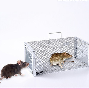 Lồng Bẫy Chuột Bắt Chuột Nhỏ Chuột To Siêu Nhạy Bẫy Chuột Thông Minh