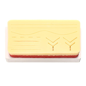 Bộ dụng cụ thực hành khâu da chấn thương ở người Human Traumatic Skin Suture Practice Pad
