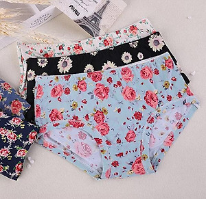 Set 5 Quần Lót Đúc Su Điều Hòa Thông Thoáng HM11