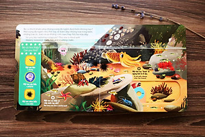 Sách Tương Tác - Sách Chuyển Động - First Explorers - Sea Creatures - Sinh Vật Biển