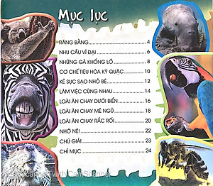 Sách Độc Lạ Phi Thường - Loài Ăn Chay