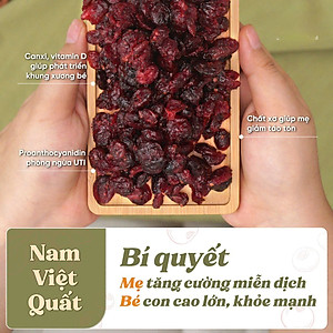 Nam việt quất sấy khô (hũ 250gr)
