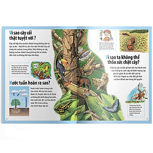 Sách Em Muốn Biết Vì Sao Có Lỗ Thủng Trên Bầu Trời Và Những Câu Hỏi Khác Về 
Môi Trường