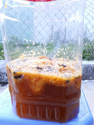 Mật ong rừng đặc sản Kon Tum nguyên chất (1lít))