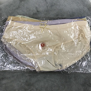 Combo 10 Quần Lót Nữ Cotton Kháng Khuẩn Thông Hơi Viền Ren Đính Nơ Freesize từ 40-60Kg - Mẫu Quần Chip Quốc Dân