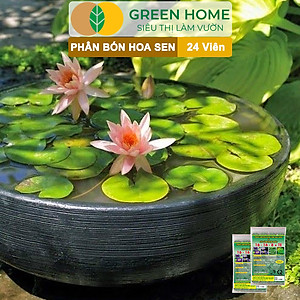 Phân Bón Hoa Sen Greenhome, Vỉ 24 Viên, Cây Thuỷ Sinh, Ngập Nước, Cho Hoa To, Hoa Đậm Màu, Lâu Tàn, Tốt Lá