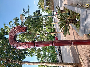 Gậy batoong gỗ trạm đầu rồng cho người già