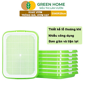 Khay Trồng Rau Greenhome, D34xR25xC5cm, Nhựa Nguyên Sinh, An Toàn, Chuyên Trồng Giá, Rau Mầm Tại Nhà, Không Cần Đất