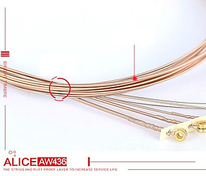 Dây đàn Guitar Alice 436