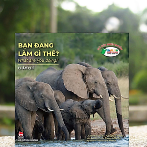 Sách Gõ Cửa Thiên Nhiên: Bạn Đang Làm Gì Thế? Chăm Chỉ - What Are You Doing?