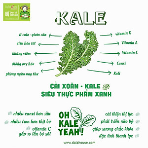 Bột cải xoăn kale Dalahouse 60gr (Mẫu mới gồm 20 tuýp tiện dụng) - Nguyên chất sấy lạnh - Detox thanh lọc cơ thể - Đạt tiêu chuẩn Châu Âu
