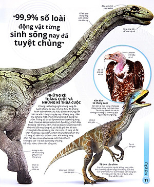 Sách Các Siêu Sao Trong Giới Động Vật