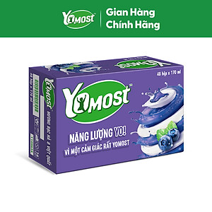 Thùng 48 Hộp Sữa Chua Lên Men Tự Nhiên Yomost Bạc Hà - Việt Quất (170ml/Hộp)