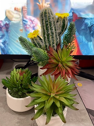 Chậu sen đá trang trí - Cây giả, hoa lụa Decor trang trí nhà cửa.