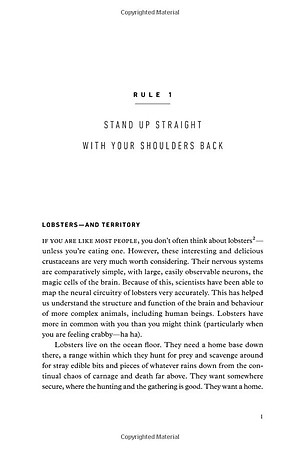 12 Rules For Life: An Antidote To Chaos