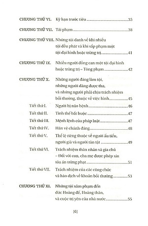 Sách Hoàng Việt Hình Luật