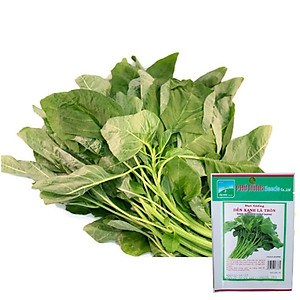 Hạt Giống Dền Xanh Lá Tròn Phú Nông