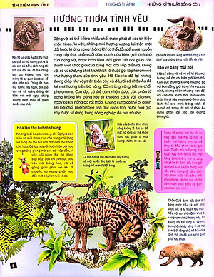 Tủ Sách Thế Giới Động Vật - Kết Đôi Và Sinh Sản (Hình Minh Họa 3D)