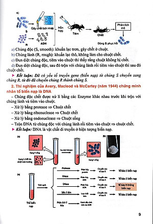 Bồi dưỡng học sinh giỏi Sinh học 12 (Tái bản 2024)(Dùng chung các bộ SGK)