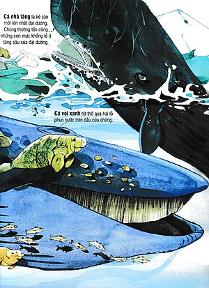 Sách Tương Tác - Big Book - Cuốn Sách Khổng Lồ Về Các Loài Động Vật Biển (Tái Bản 2018)