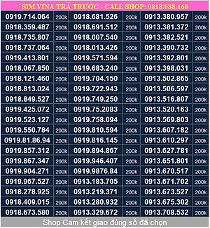 Sim Vinaphone đầu số 091, sim Phong Thuỷ, sim dễ nhớ - Hàng chính hãng