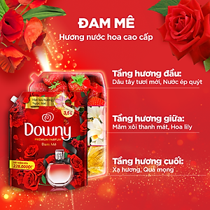 Nước Xả vải DOWNY Hương Nước Hoa Đam Mê Túi 4L