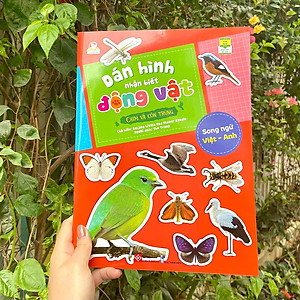 Sách Dán hình nhận biết động vật - Chim và côn trùng