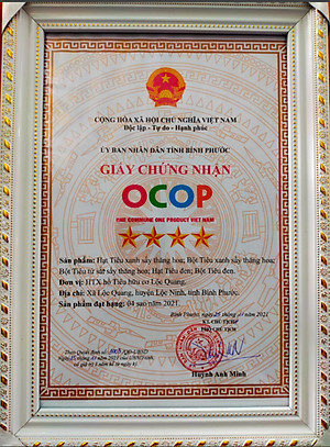 Hạt tiêu xanh sấy thăng hoa