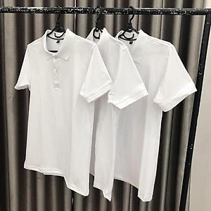 Áo Thun Có Cổ Cá Sấu 4 Chiều Trắng