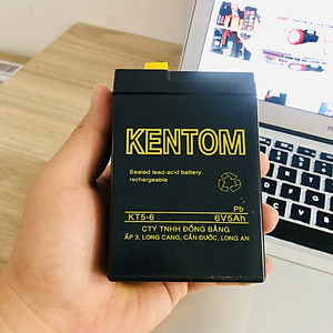 Bình ắc quy cho đèn sạc, xe đồ chơi trẻ em 6V 4.5AH