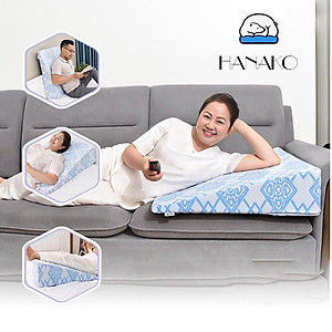 GỐI CHỐNG TRÀO NGƯỢC DẠ DÀY NGƯỜI LỚN , GIẢM HẲN HO, NGỨA HỌNG, SẠCH PHỔI, CHỐNG PHÙ MẶT