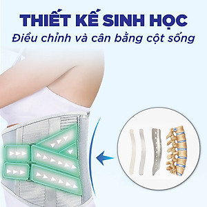 Đai lưng cột sống Genky, hỗ trợ thoát vị, thoái hóa, đau lưng