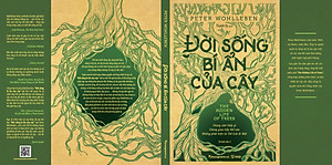 Sách Đời Sống Bí Ẩn Của Cây (Tái Bản)
