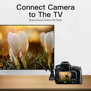 Đầu chuyển đổi Mini HDMI + Micro HDMI to HDMI Vention AGDB0 - Hàng Chính Hãng