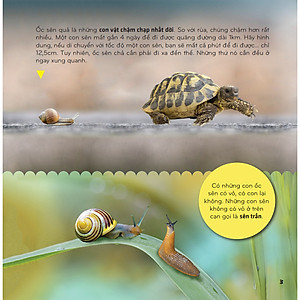 Sách Bí Ẩn Thế Giới Loài Vật