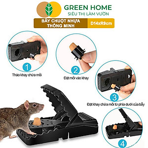 Bẫy Chuột Thông Minh Greenhome, D14xr9cm, Lò Xo Độ Nhạy Cao, Lực Gấp Mạnh, Dễ Dùng, Hiệu Quả Cao, Tái Sử Dụng Nhiều Lần