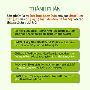 Dầu Gội Thảo Dược ECOCARE PREMIUM 300ml Đạt Chuẩn CGMP, Dầu Gội Xả Thiên Nhiên Sạch Gàu, Phục Hồi Hư Tổn