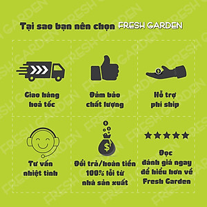 Bánh Quy Dừa Ăn Vặt FRESH GARDEN Vị Dừa Thơm Ngon Giòn Tan Ngay Trong Miệng Hộp 80G