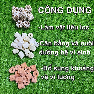 Vật Liệu Lọc Hồ Cá (100g) - Viên Sứ Lọc, Xử Lý Nước Bể Cá Loại Tốt Giá Rẻ - Phụ Kiện Thủy Sinh Cá Cảnh