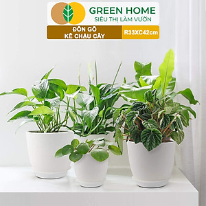 Đĩa Nhựa Lót Chậu Cây Greenhome, Nhiều Kích Cỡ, Hứng Nước Giúp Sạch Bàn, Sàn, Nhựa Nguyên Sinh, Bền, Đẹp, Chóng Rơi Vỡ